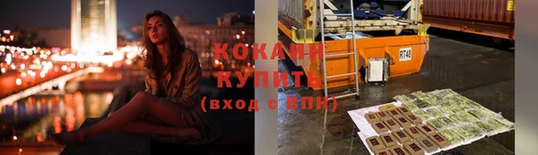 стаф Сосновоборск