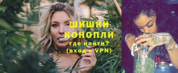 стафф Вязьма