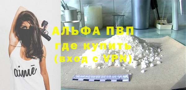 стафф Вязьма
