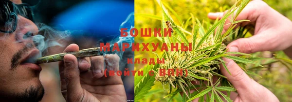 PSILOCYBIN Сосновка
